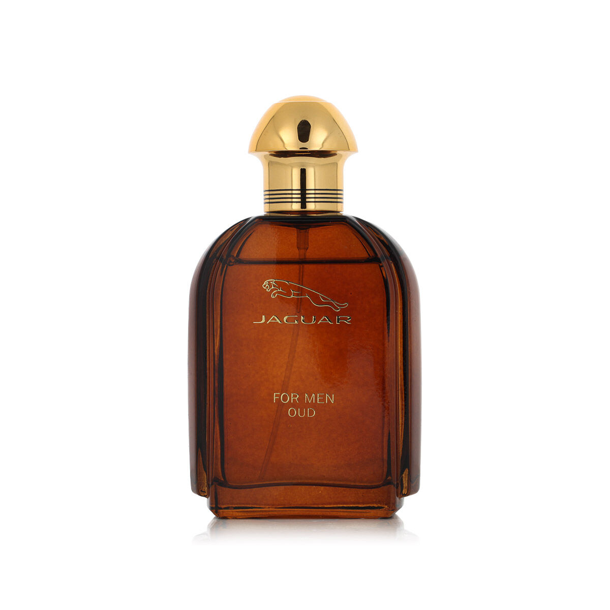 Parfym Herrar Jaguar EDP Oud 100 ml - 2