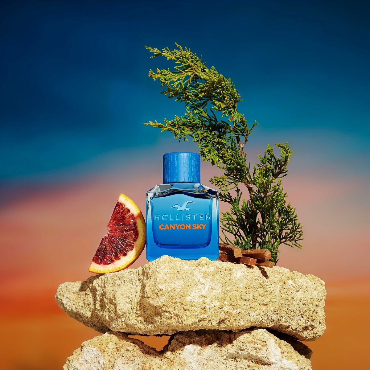 Parfym Herrar Hollister Canyon Sky EDT 100 ml - 3
