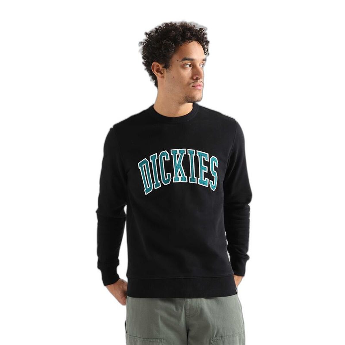 Tröja med huva Herr Dickies Aitkin Svart