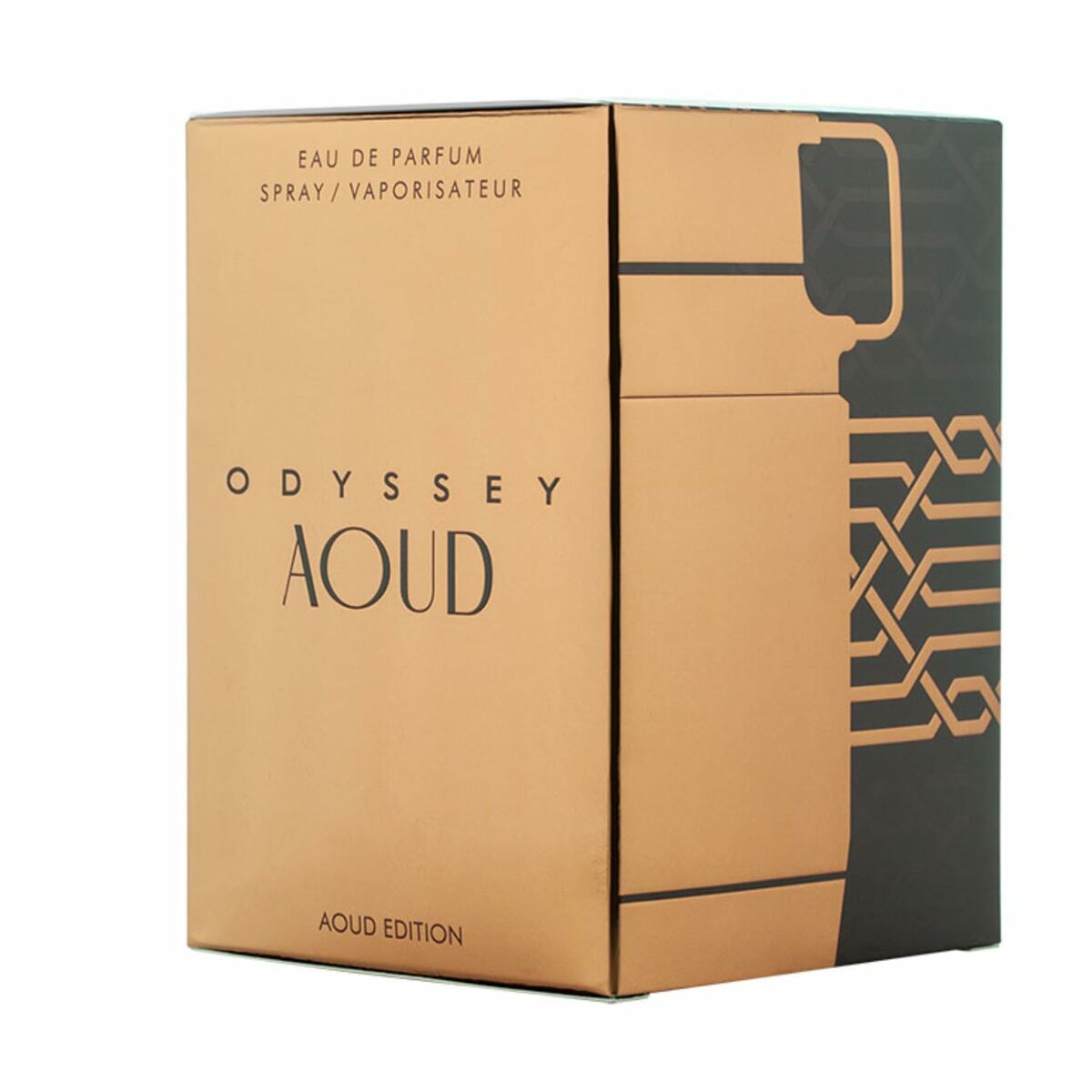 Parfym Herrar Armaf Odyssey Aoud EDP 100 ml - 2