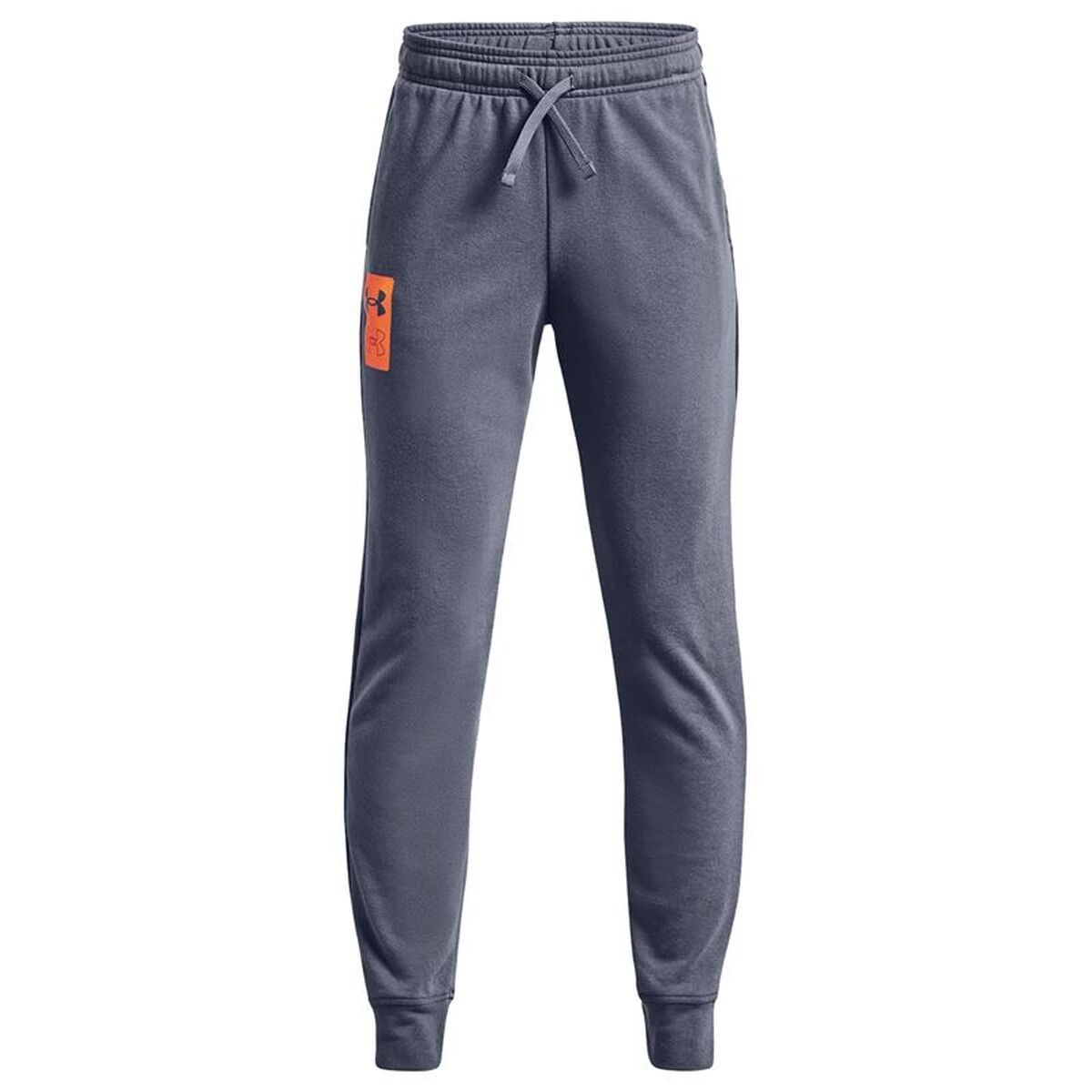 Långa träningsbyxor Under Armour Rival Terry Grön