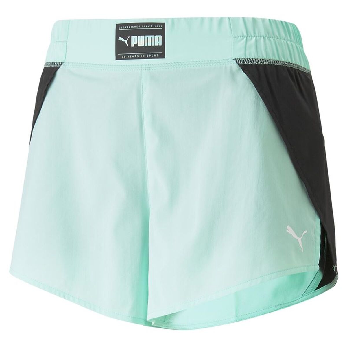 Träningsshorts Puma Vatten