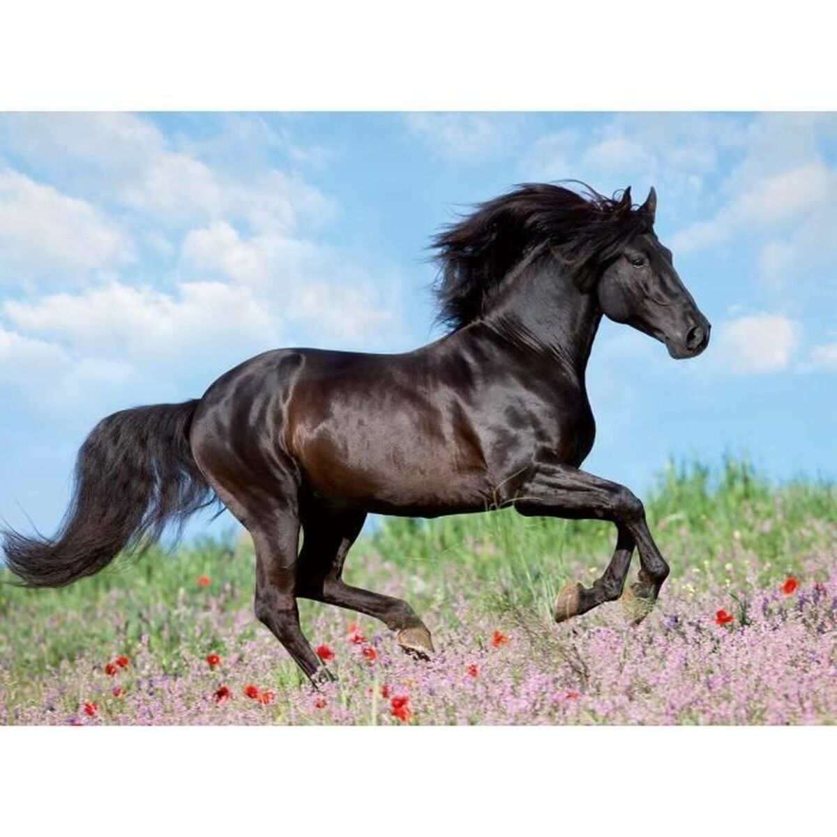 Pussel Ravensburger 12803 Black Stallion XXL 200 Delar - 2