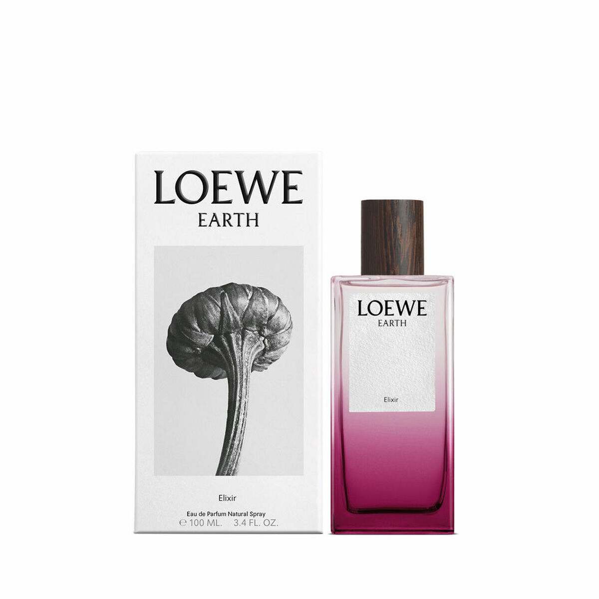 Parfym Damer Loewe EARTH 100 ml