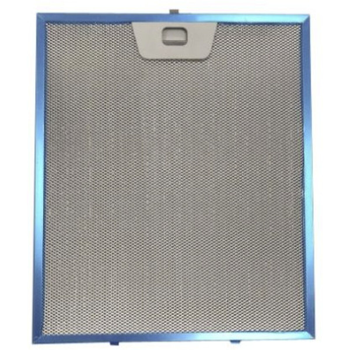 Metallfilter för köksfläkt Lego 1330182379 25 x 30 cm Plast