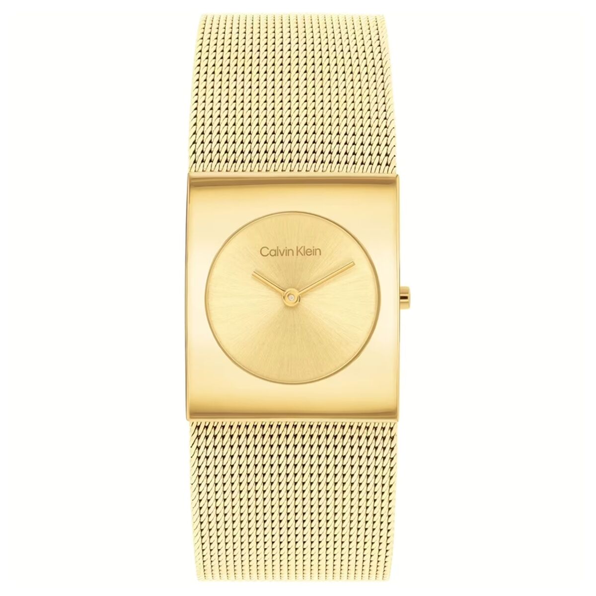 Herrklocka Calvin Klein 1693551