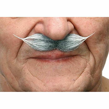 Mustasch My Other Me Grå Vit