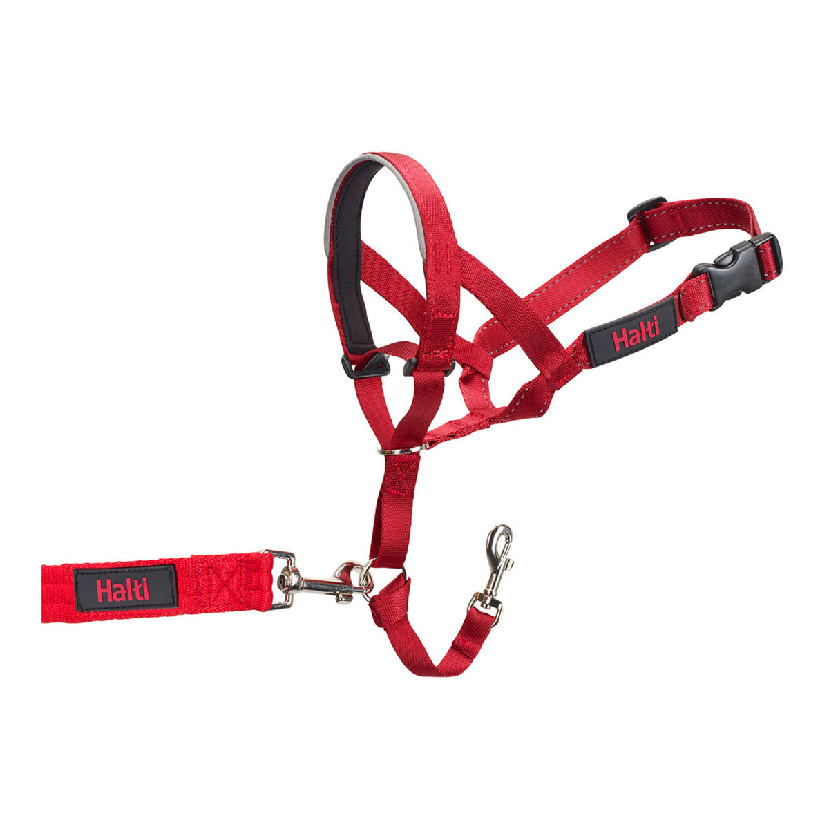 Hund utbildning kragar Company of Animals Halti Munkorg (46-62 cm)