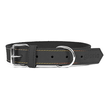Hundhalsband Gloria Oasis Svart (50 x 2,1 cm)