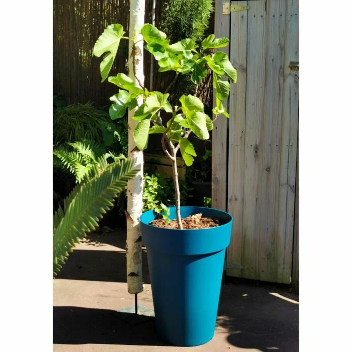 Kruka Riss 53 cm Blå Plast
