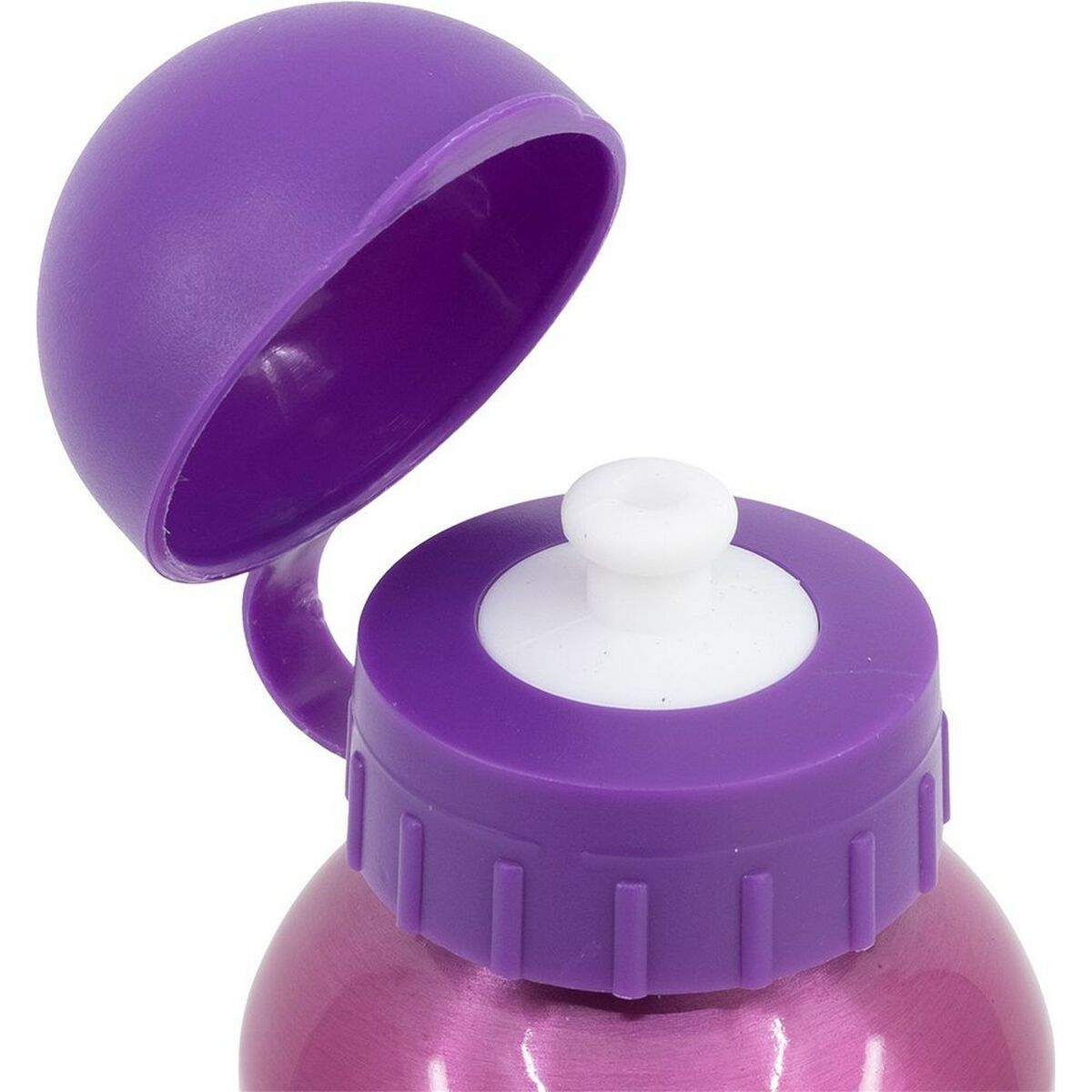 Vattenflaska Disney Princess CZ11260 530 ml Rosa Aluminium - 2
