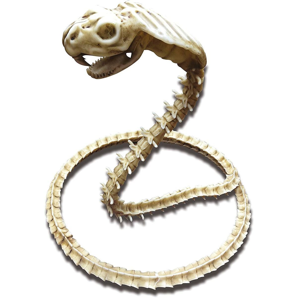 Maskeraddräktsaccessoarer My Other Me Skelett Cobra