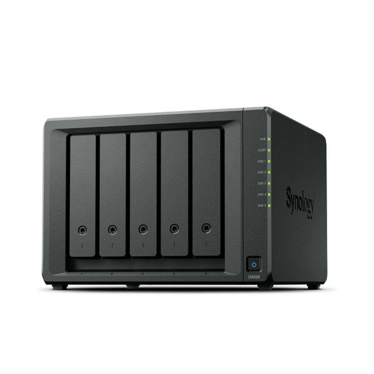 Nätlagringsenhet NAS Synology DX525