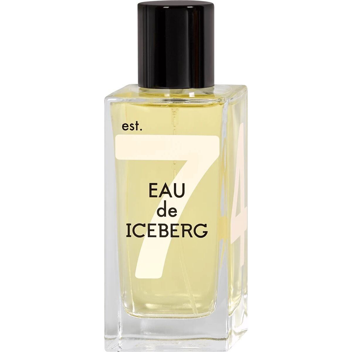 Parfym Damer Iceberg EDT Eau De Iceberg For Her (100 ml)