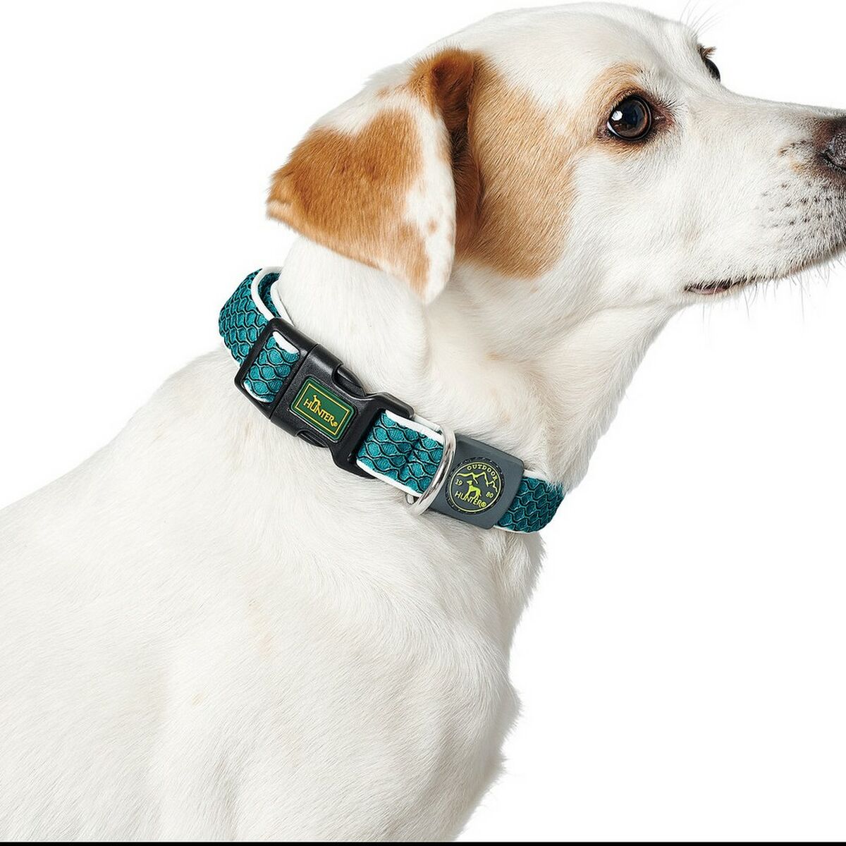 Hundhalsband Hunter Basic Tråd Blå 20