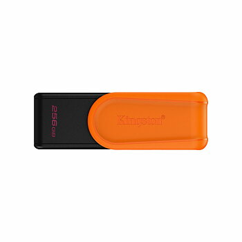 Micro-SD Minneskort med Adapter Kingston DTXS/256GB 256 GB