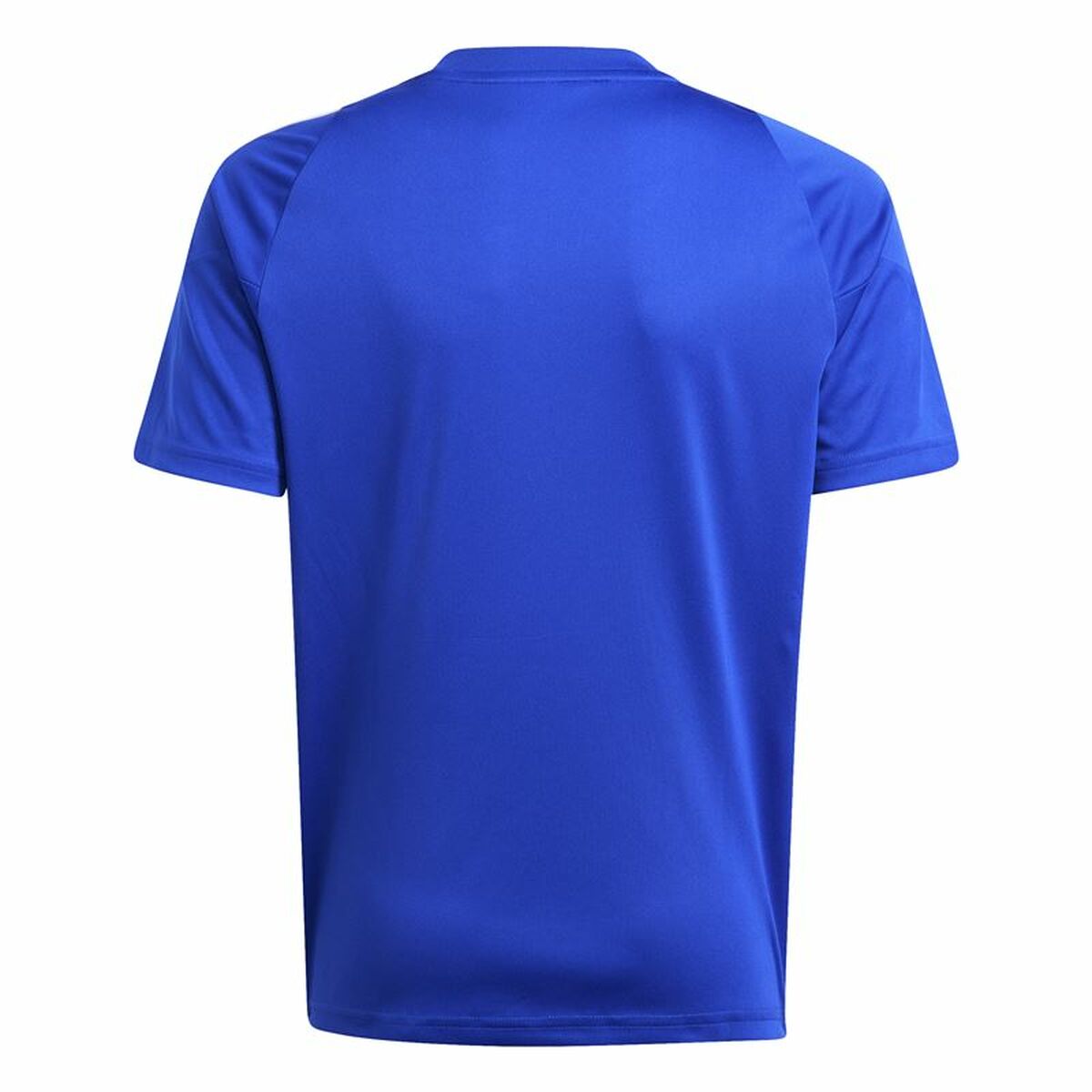 Fotbollströja Adidas Tiro24 Blå - 2