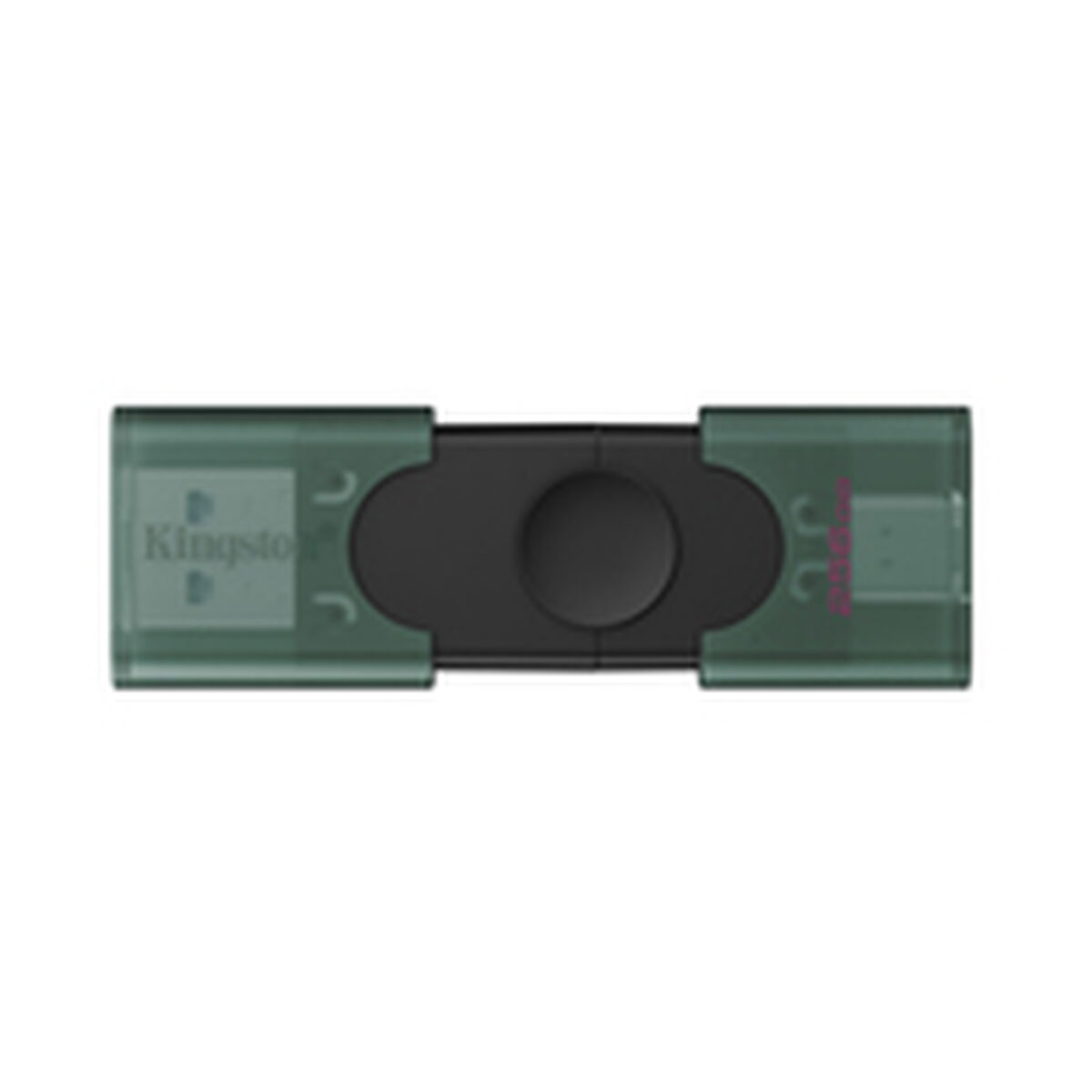 USB-minne Kingston DTDEG2/256GB 256 GB