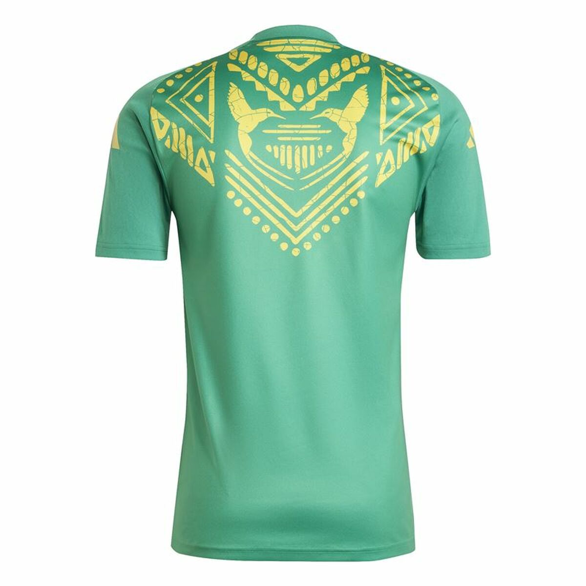 Fotbollströja Adidas Jamaica 2024 Pre Match Grön - 2
