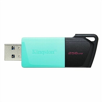USB-minne Kingston DTXM/256GB Svart 256 GB