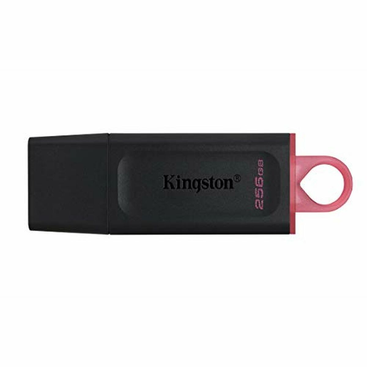USB-minne Kingston DTX/256GB Nyckelkedja Svart 256 GB