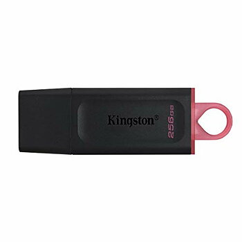 USB-minne Kingston DTX/256GB Nyckelkedja Svart 256 GB