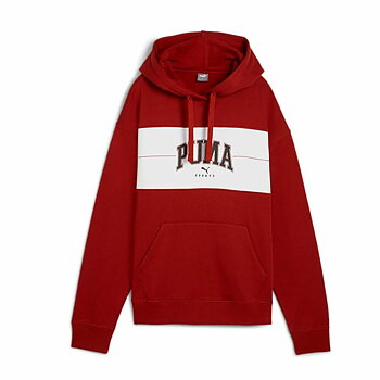 Tröja med huva Dam Puma Puma Squad Hoodie Fl