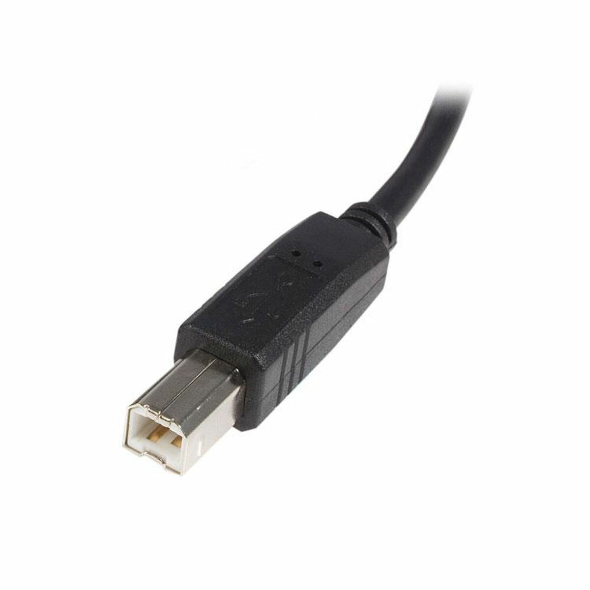 USB A till USB B Kabel Startech USB2HAB1M            Svart - 2