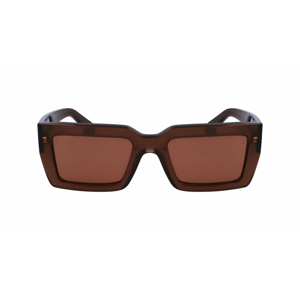 Damsolglasögon Salvatore Ferragamo SF1108S542123 ø 54 mm - 2