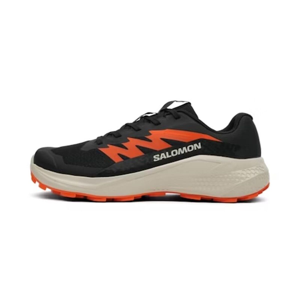Herr trail löparskor (bergslöpning) Salomon Alphaglide Svart