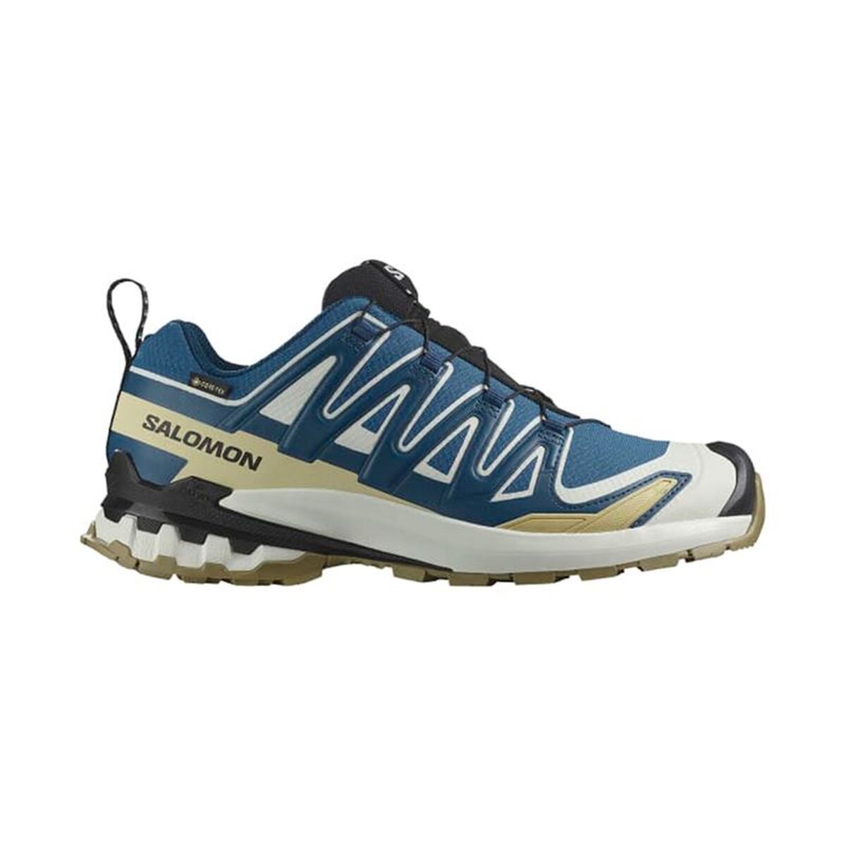 Herr trail löparskor (bergslöpning) Salomon Xa Pro 3D V9 Gtx Blå