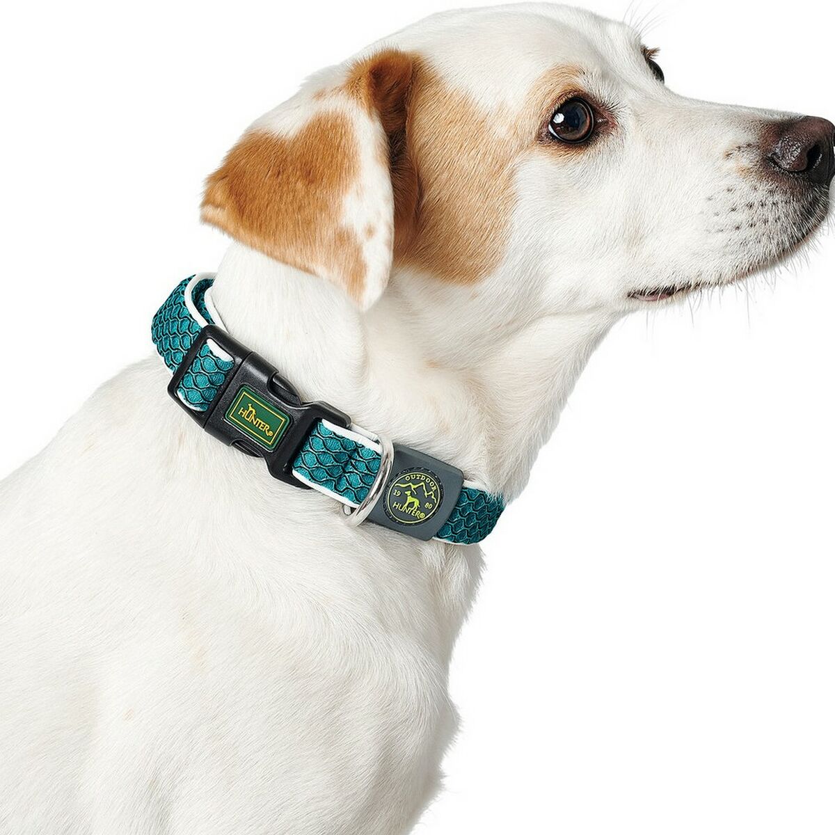 Hundhalsband Hunter Basic Tråd Brun Storlek M Brown (33-50 cm)