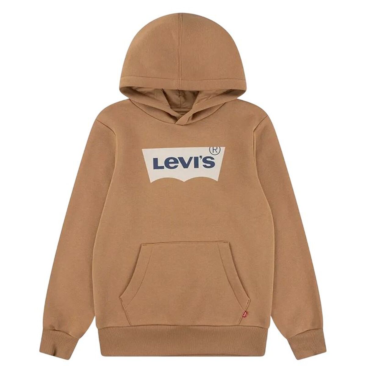 Tröja med huva Unisex Levi's Batwing Screenprint Hoodie Brun