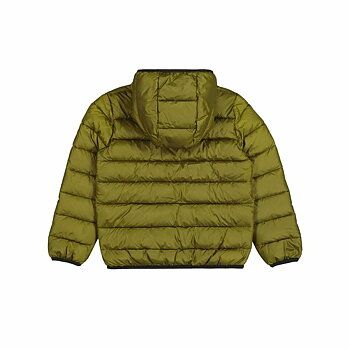 Träningsjacka Herr Champion Hooded Grön