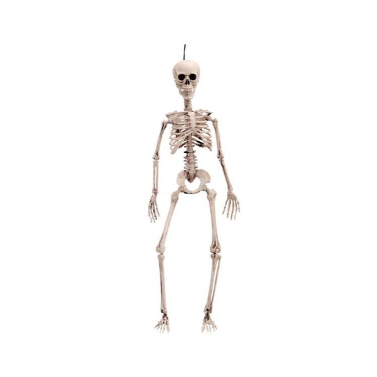 Halloweendekorationer My Other Me 49 cm Skelett - 2
