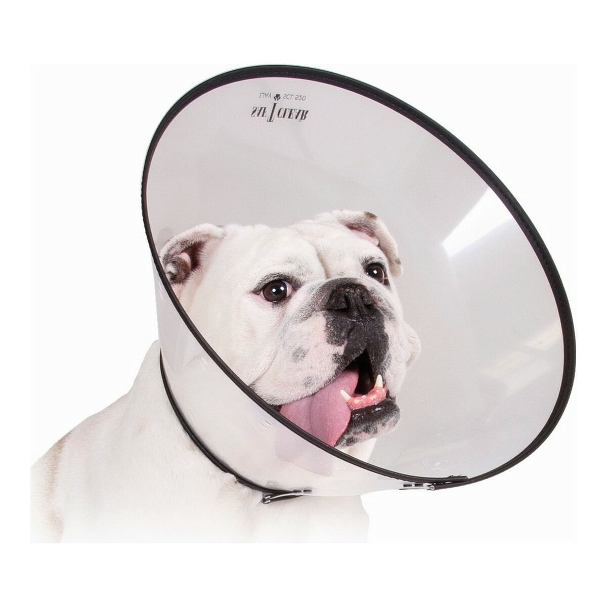 Elizabethan Hundhalsband KVP Saf-T-Clear Transparent (15-23 cm)