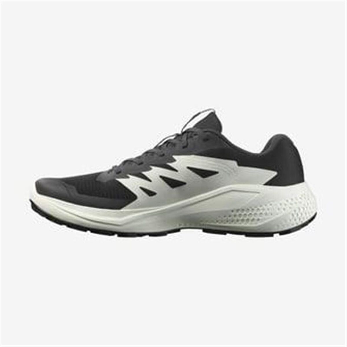 Herr trail löparskor (bergslöpning) Salomon Alphaglide Svart - 2