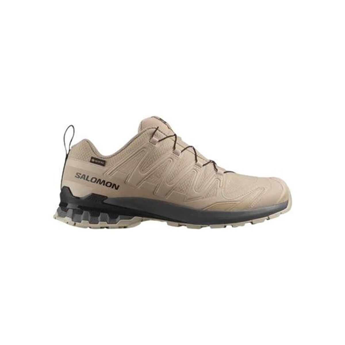 Herr trail löparskor (bergslöpning) Salomon Xa Pro 3D V9 Gtx Brun