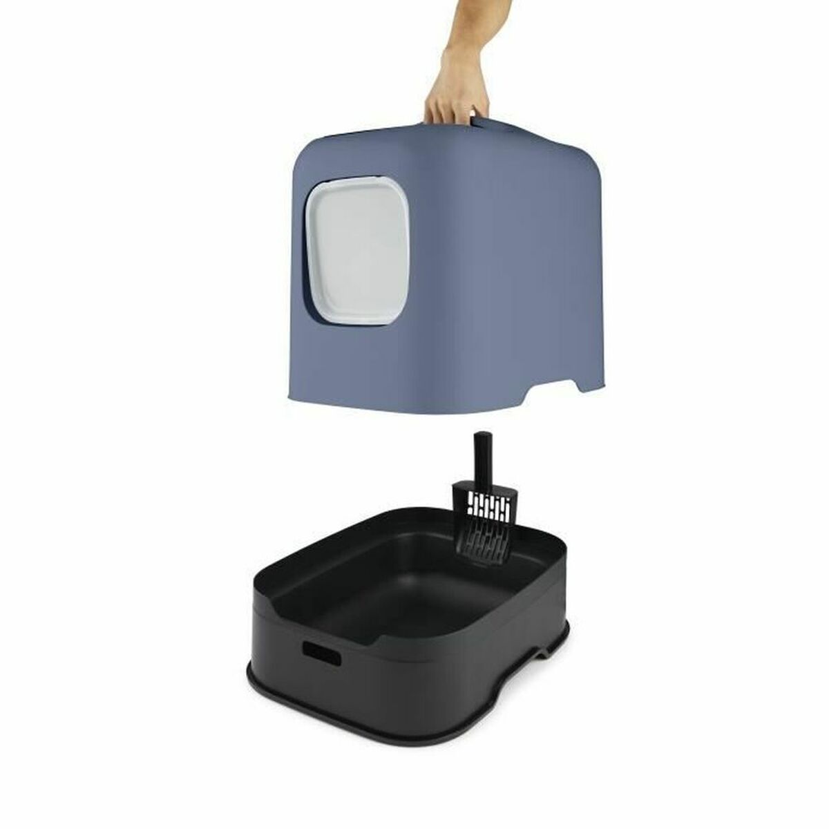 Kattlåda Rotho My Pet HORIZON 51 x 39,5 x 44,3 cm Blå