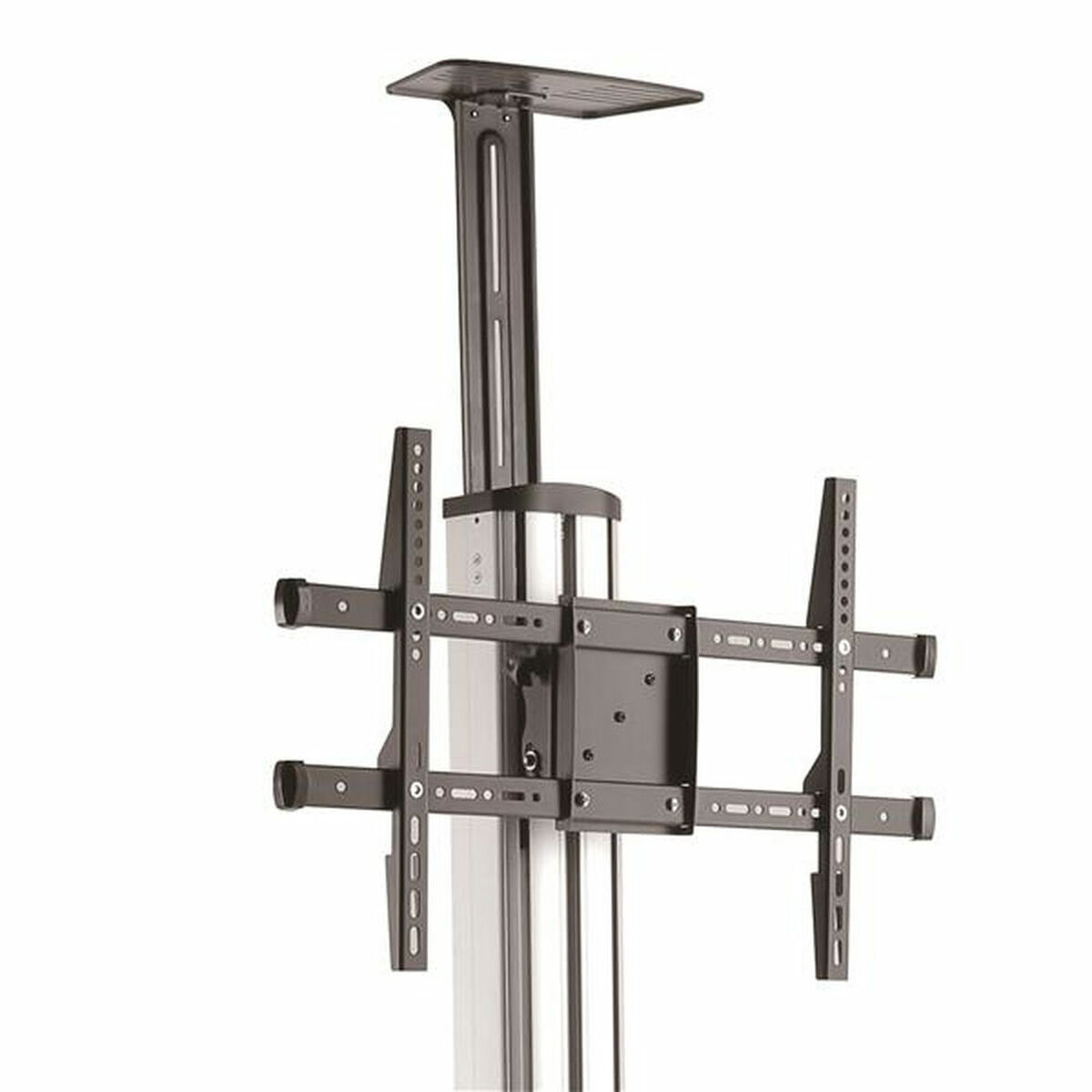 Trolley / Tralle Startech STNDMTV70 - 2