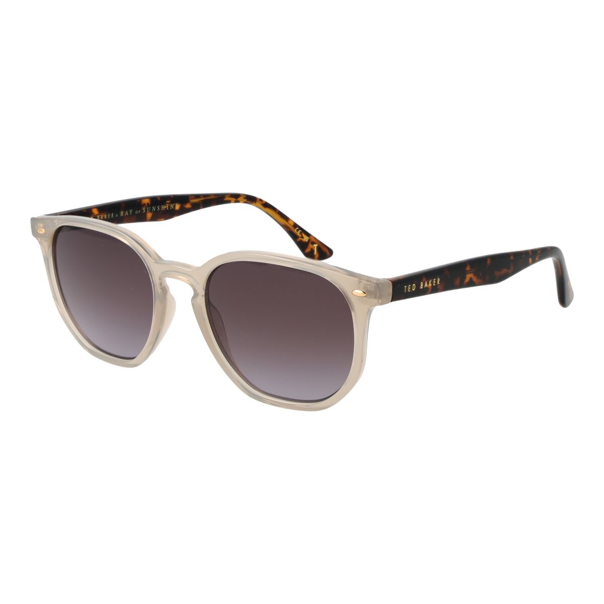 Herrsolglasögon Ted Baker TB1655 52901