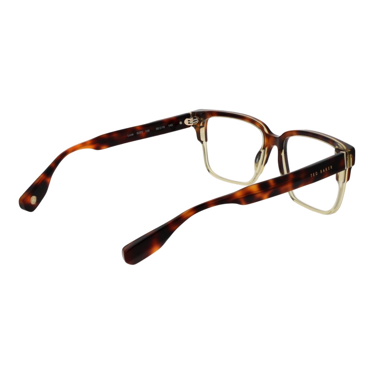 Glasögonbågar Ted Baker TB8293 56106 - 3
