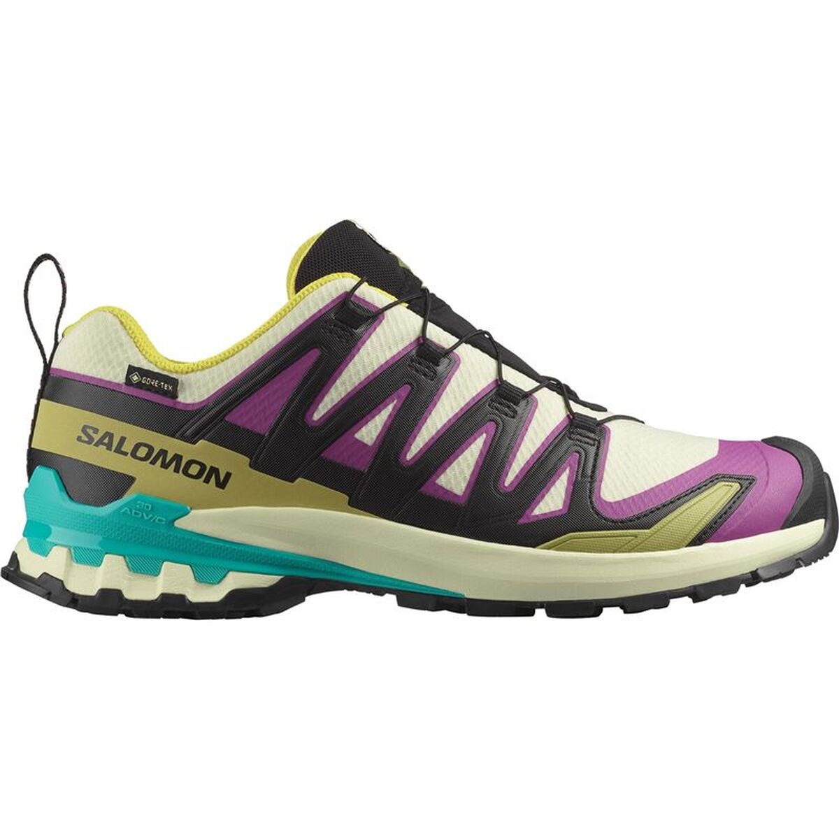 Herr trail löparskor (bergslöpning) Salomon Xa Pro 3D V9 Gtx Ljusbrun