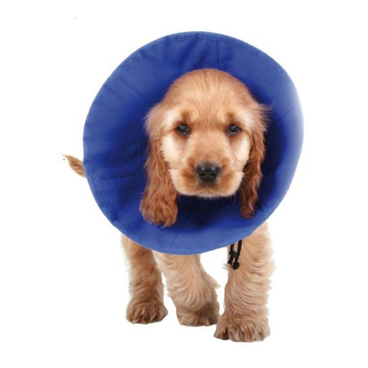 Elizabethan Hundhalsband KVP EZ Soft Blå (9-25 cm)