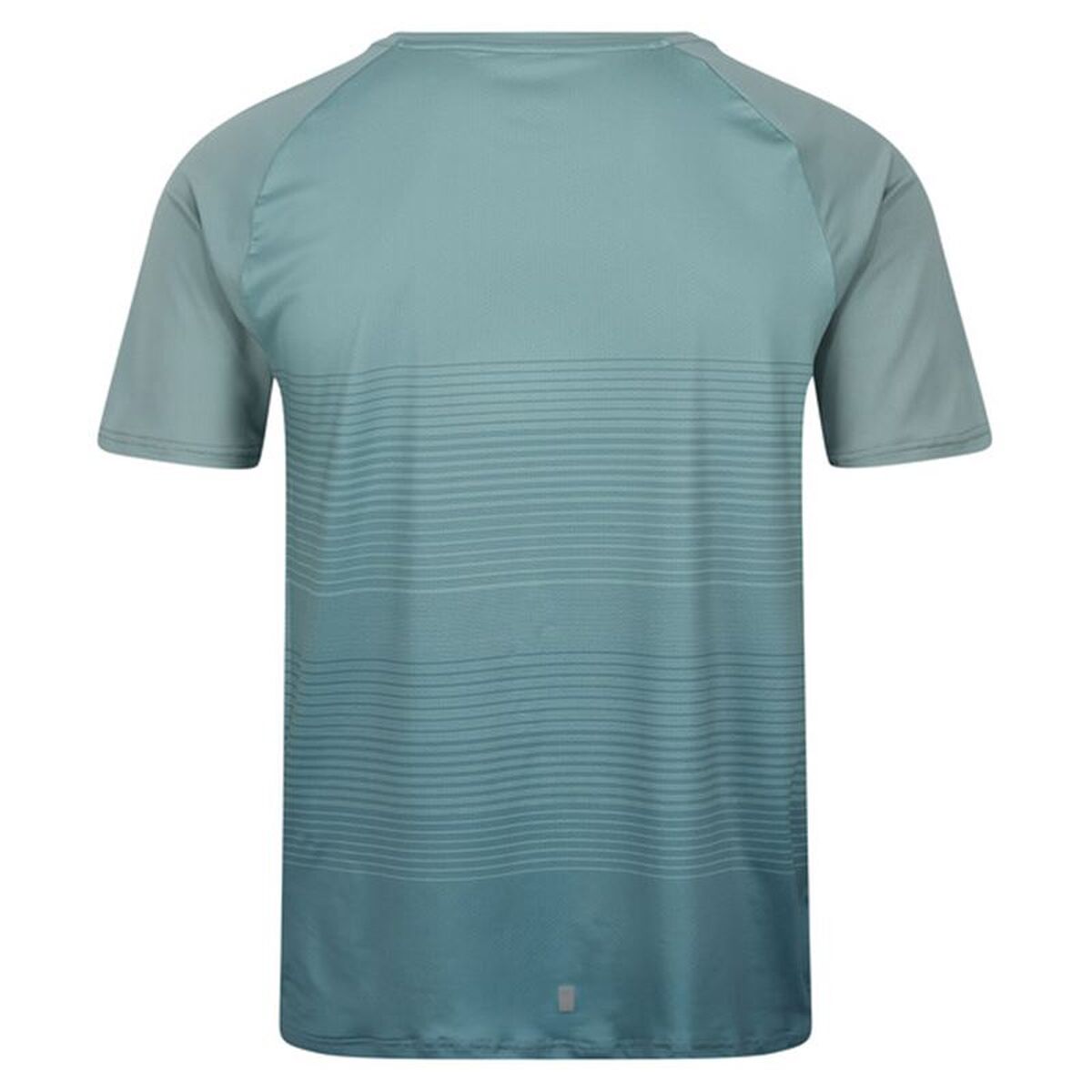 T-shirt Regatta Pinmor Aquamarine - 2