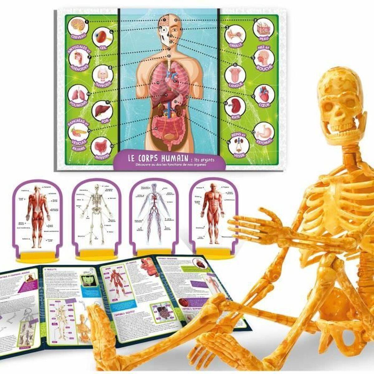 Vetenskapsspel Lisciani Giochi - 2