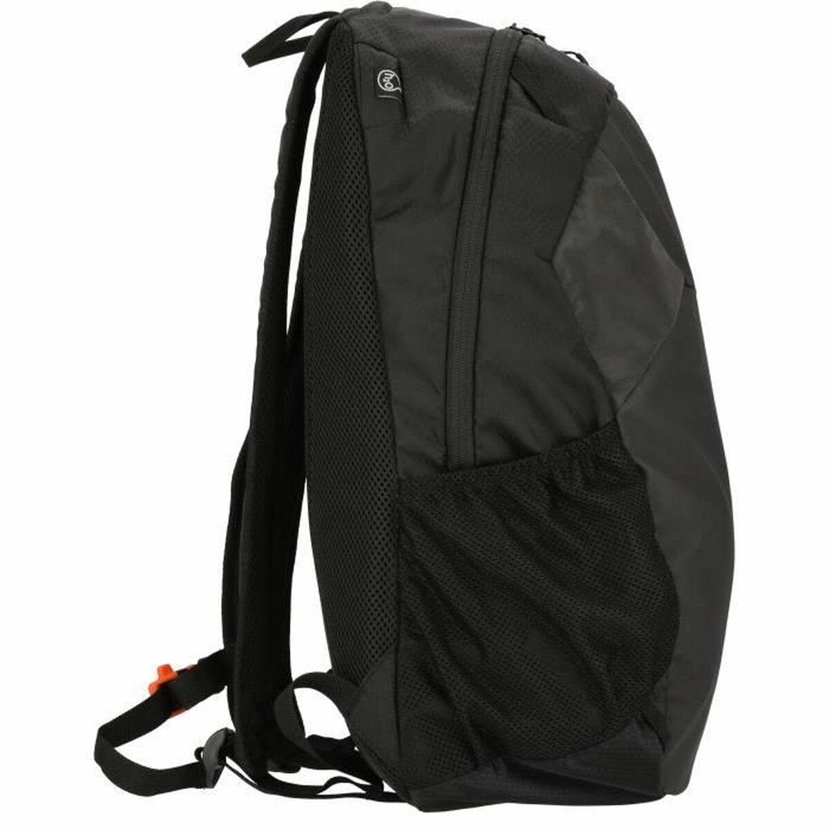 Vandringsryggsäck Whistler Froswick Svart 20 L 50 x 25 x 14,5 cm - 2