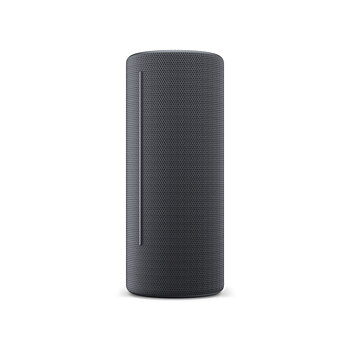 Bluetooth Högtalare Loewe Grå