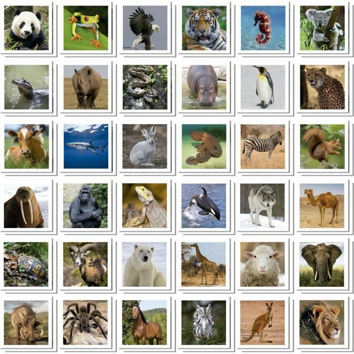 Memory-spel Educa Identic Memo Animals - 2