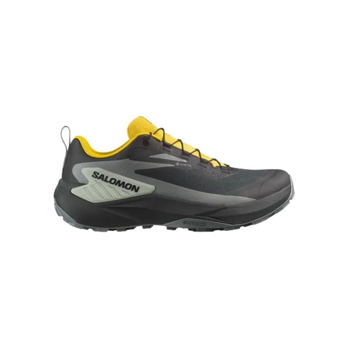 Herr trail löparskor (bergslöpning) Salomon Genesis Gtx Svart